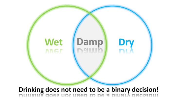 Damp Lifestyle Ven Diagram